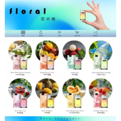 FLORAL Mini Vape 700 Puffs | 花之咲小型電子煙 700口 - HKVAPESTORE