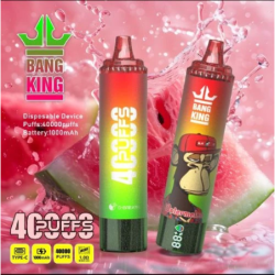 Bang KING Flame 一次性電子煙｜40K口｜數字顯示屏｜高容量｜多口味選擇 5%